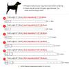 Personalized Dog Collar with Engraved Nameplate, Red, 2XL (20–25 in) view 2