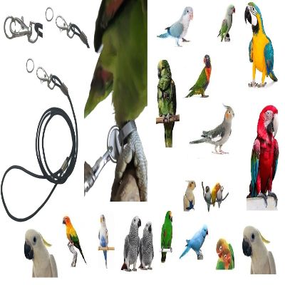 Black Elastic Parrot Leash, 3 mm x 1 m, with Snap Hook and Ring