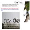Black Elastic Parrot Leash, 3 mm x 1 m, with Snap Hook and Ring view 2