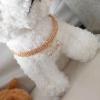 Acunny Puppy Collar with Rhinestone Bone Pendant view 3