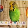 COLLBATH Wooden Bird Cage Perch for Parakeets and Parrots view 2