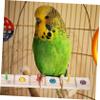 TOGEVAL Wooden Bird Perch for Cages view 3