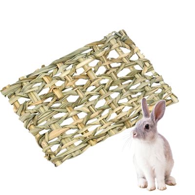 Pet Grass Tunnel