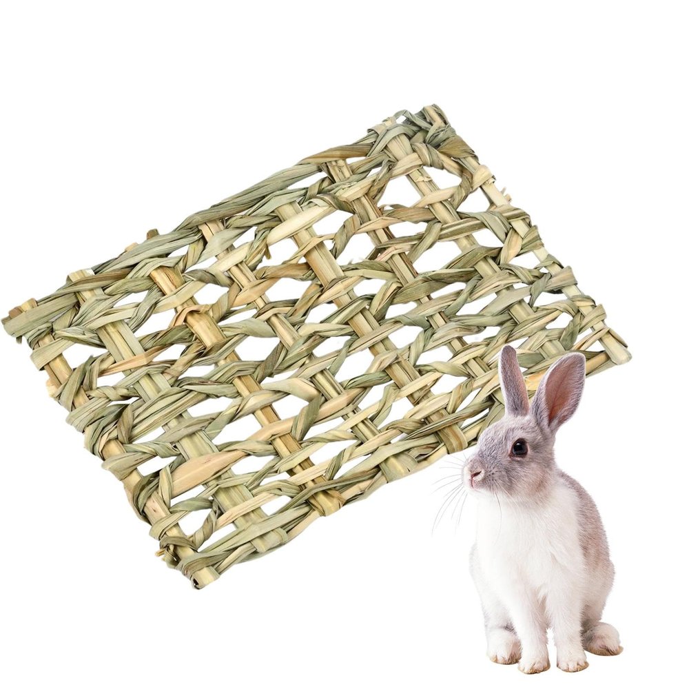 Pet Grass Tunnel
