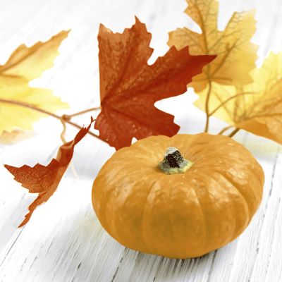 20 Autumn Leaves and Pumpkin Napkins, 24 cm
