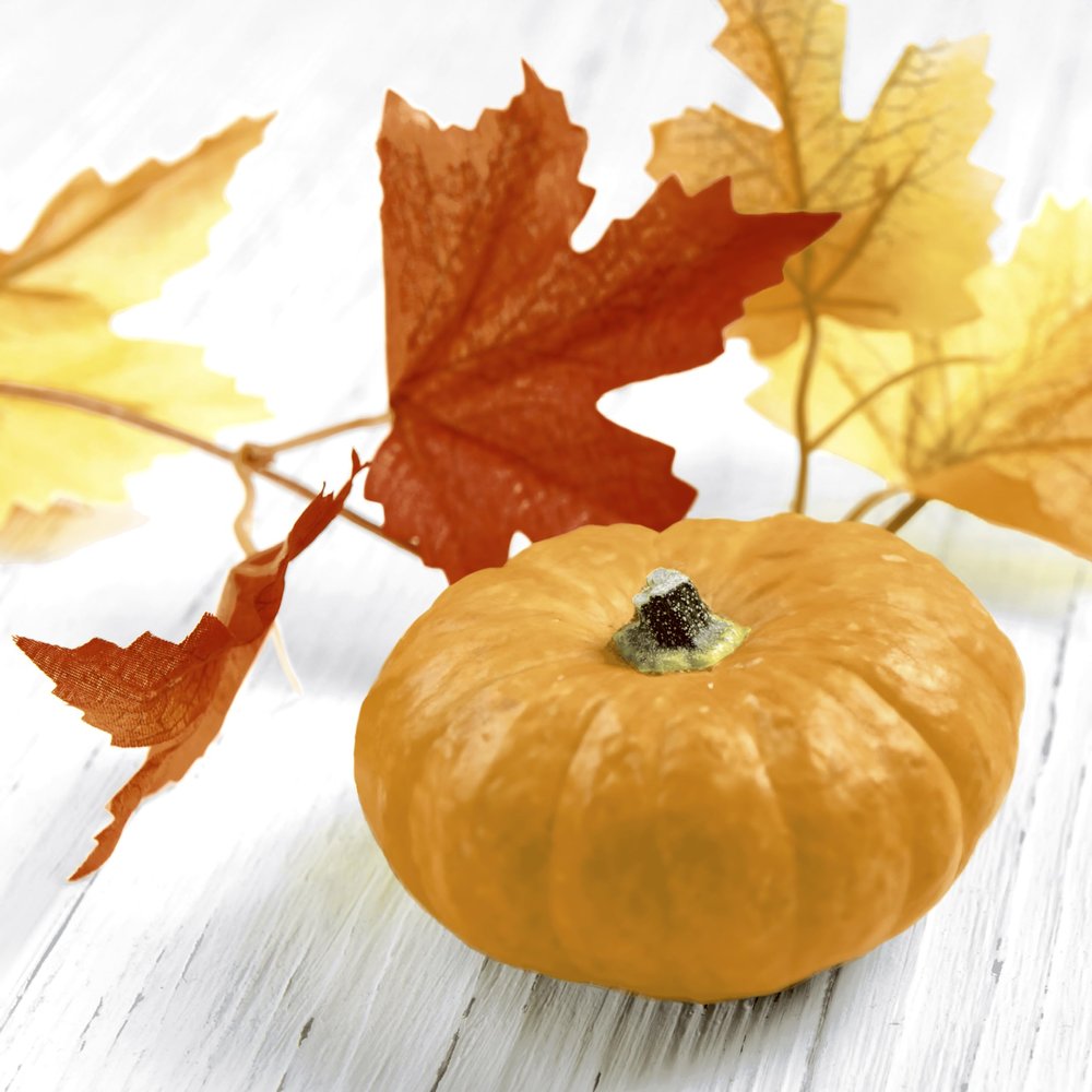 20 Autumn Leaves and Pumpkin Napkins, 24 cm