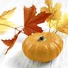 20 Autumn Leaves and Pumpkin Napkins, 24 cm view 1