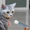Interactive Wet Food Dispenser for Cats view 2
