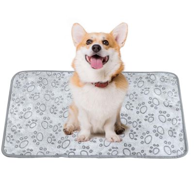Warm, Plush Dog Blanket for Pets
