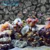 PLASTIKO 3D Aquarium Background 150 x 60 cm, Yellow Stone Pattern view 4