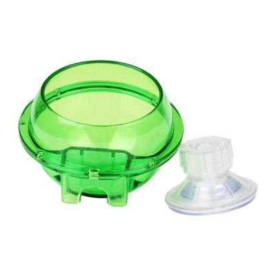 Reptile Suction Cup Feeding Station