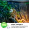 Reptile Suction Cup Feeding Station view 3