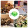 Reptile Suction Cup Feeding Station view 4