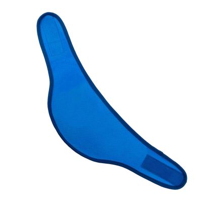 Cooling Scarf for Dogs