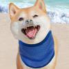 Cooling Scarf for Dogs view 2