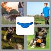 Cooling Scarf for Dogs view 4