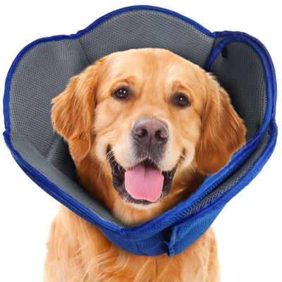 IECOii Soft Dog Cone, Blue, Size M