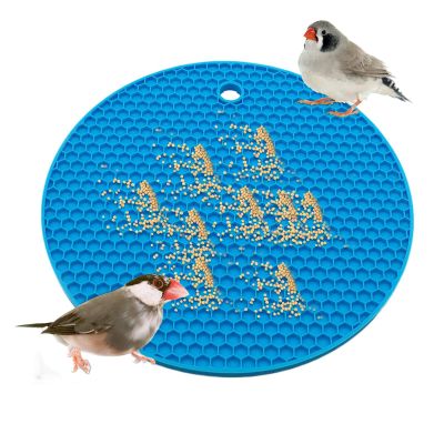 Slow-Feeding Puzzle for Birds