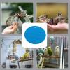 Slow-Feeding Puzzle for Birds view 4