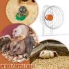 Silent Hamster Wheel for Small Pets view 4