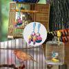 Bexdug Birdcage Bell Toy - 2 Pack view 4