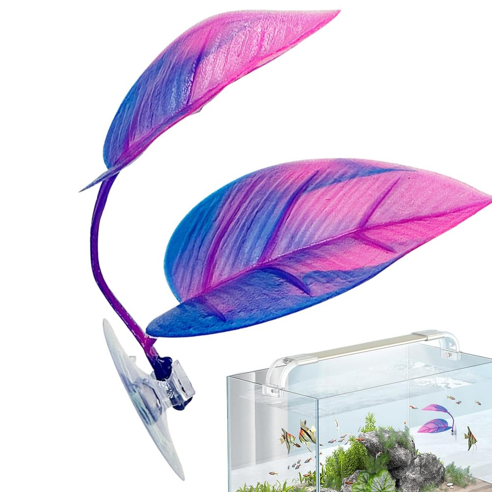 Betta Fish Leaves for Small Aquariums