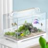 Betta Fish Leaves for Small Aquariums view 2