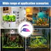 Betta Fish Leaves for Small Aquariums view 4