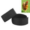 2-Pack Chicken Collar, Noise-Free Nylon Chicken Harness view 4