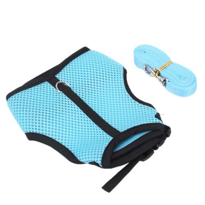 Adjustable Vest, Harness, and Leash Set for Mini Pets (Light Blue)