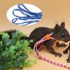 Small Pet Squirrel Hamster Guinea Outdoor Leash view 2