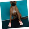 Kisangel Self-Adhesive Dog Wound Bandage - 3 Rolls view 3