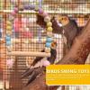 Bird Swing Toy for Parrots view 3
