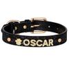 Personalized Dog Collar with Sequin Necklace view 1