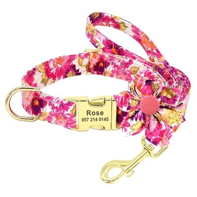 Personalized Dog Collar and Leash Set