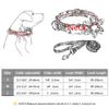 Personalized Dog Collar and Leash Set view 2