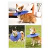 Pet Recovery Cone, Prevents Licking, Waterproof, Lightweight and Comfortable (Qcwwyh3ip9br0gz-14) view 2