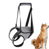 Senior Dog Lift Harness with Back Support view 1