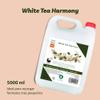 Vitacab 2-in-1 White Tea Harmony Shower Gel & Shampoo, 4 x 5-Liter Canisters view 2
