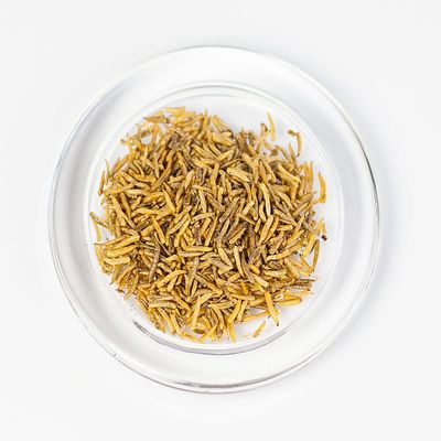 WachtelGlück Pinky Maggots