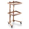 ZGSYH 2-Tier Folding Stainless Steel Salon Rolling Cart, Rose Gold view 1