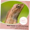 BESPORTBLE Adjustable Reptile Leash for Lizards and Small Pets view 2
