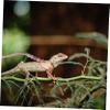 BESPORTBLE Adjustable Reptile Leash for Lizards and Small Pets view 3