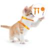 BESPORTBLE Pet Harness for Rabbits and Guinea Pigs - 2 Pack view 2