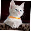BESPORTBLE Pet Harness for Rabbits and Guinea Pigs - 2 Pack view 3