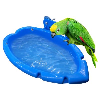 Qutalmi Parakeet Bathing Tub