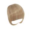 Xilin-872 Clip-In Bangs Hair Extension, Synthetic Fringe Hairpiece for Women, 27-613 view 1