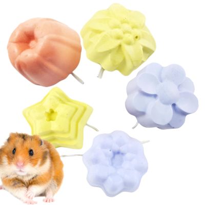 Hamster Chew Toy for Teeth