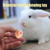 Hamster Chew Toy for Teeth view 2