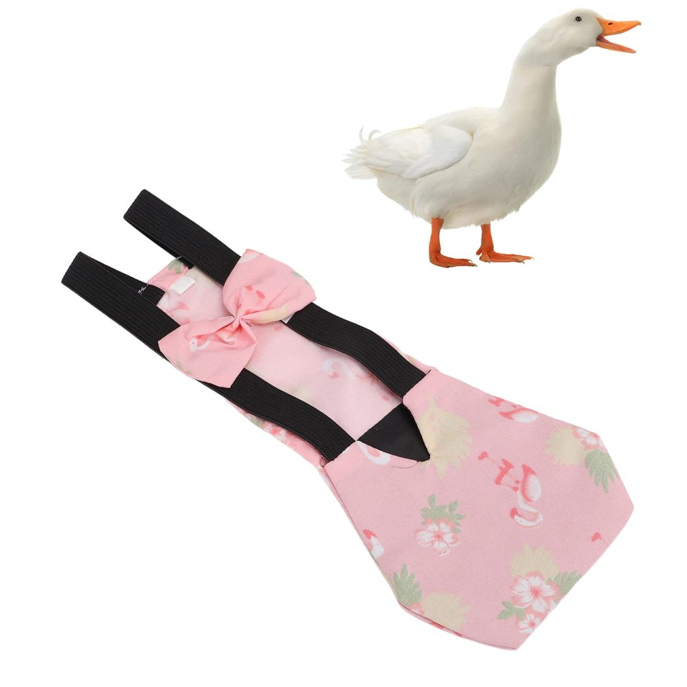 Pet Chicken and Duck Diapers (L)